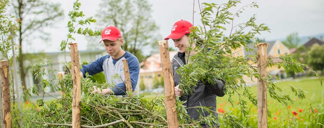 Anlage der neuen Kleinhabitate am Stiegl-Gut Wildshut.